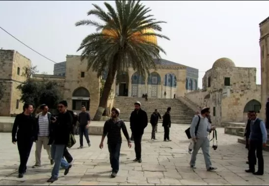 مدار الساعة,أخبار عربية ودولية,المسجد الأقصى