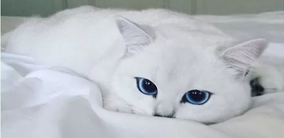 مدار الساعة,أخبار خفيفة ومنوعة,مواقع التواصل الاجتماعي