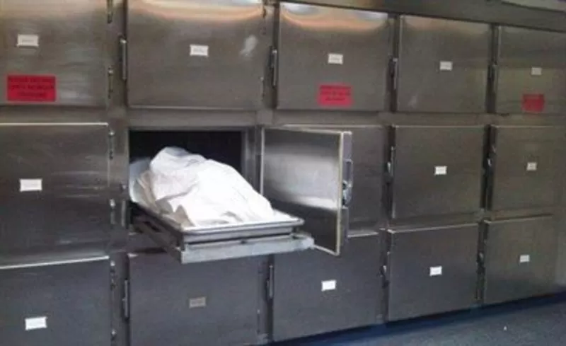 مدار الساعة,أخبار خفيفة ومنوعة