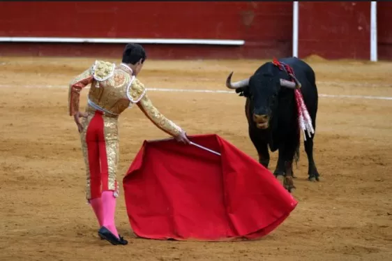 مدار الساعة,Video,فيديو,أخبار خفيفة ومنوعة