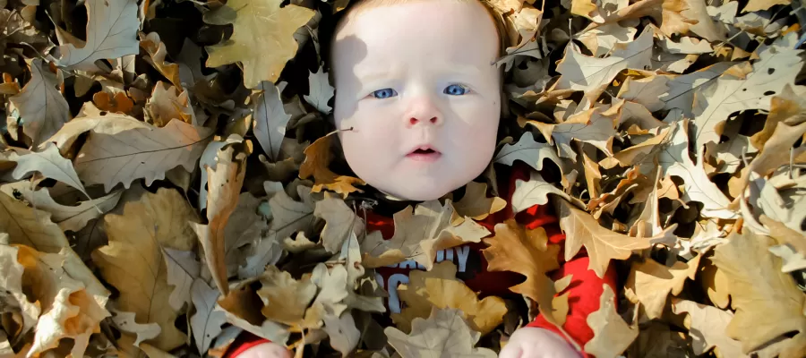 مدار الساعة,أخبار خفيفة ومنوعة