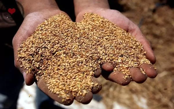 مدار الساعة,أخبار الأردن,اخبار الاردن,وزارة الزراعة