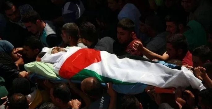 مدار الساعة,أخبار عربية ودولية,وزارة الصحة,قطاع غزة