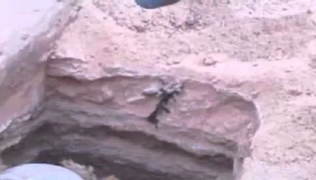 مدار الساعة,أخبار خفيفة ومنوعة