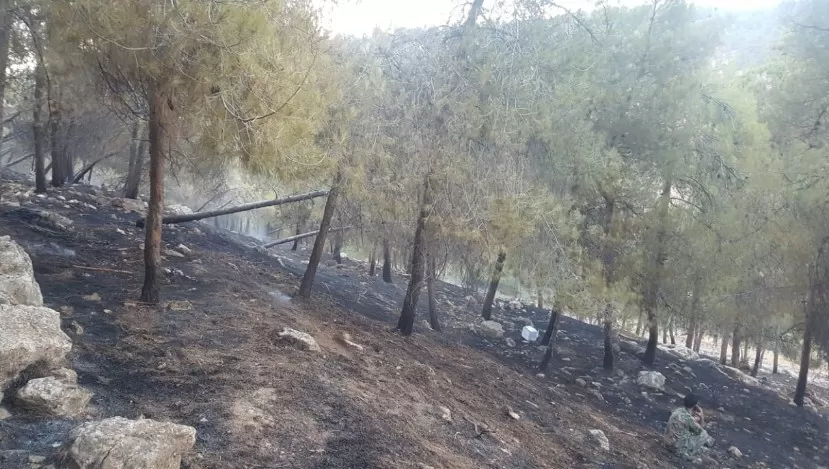 مدار الساعة,أخبار الأردن,اخبار الاردن,الدفاع المدني
