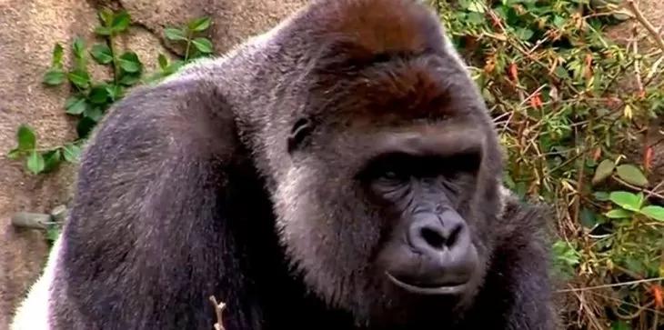 مدار الساعة,أخبار خفيفة ومنوعة,مواقع التواصل الاجتماعي