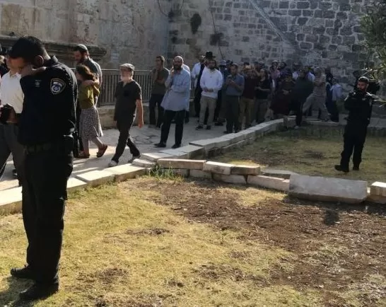 مدار الساعة,أخبار عربية ودولية,المسجد الأقصى