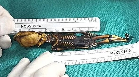 مدار الساعة,أخبار خفيفة ومنوعة