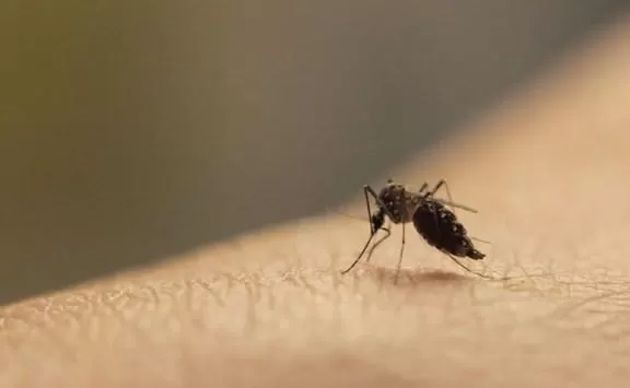 مدار الساعة,أخبار خفيفة ومنوعة