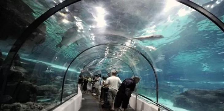 مدار الساعة,Video,فيديو,أخبار خفيفة ومنوعة,مواقع التواصل الاجتماعي