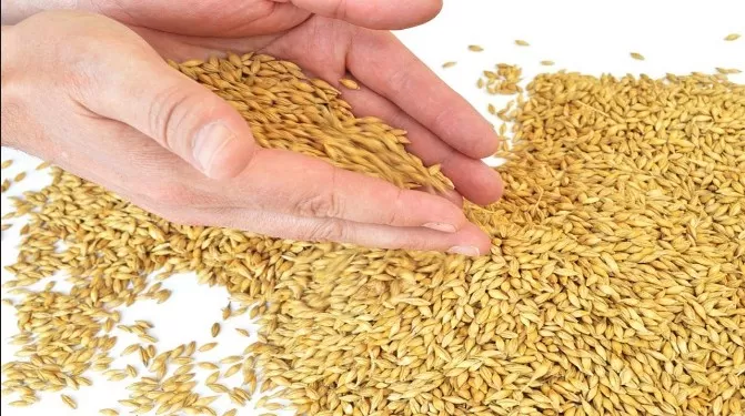 مدار الساعة,أخبار الأردن,اخبار الاردن,وزير الصناعة والتجارة والتموين,ديوان المحاسبة