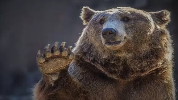 مدار الساعة,Video,فيديو,أخبار خفيفة ومنوعة