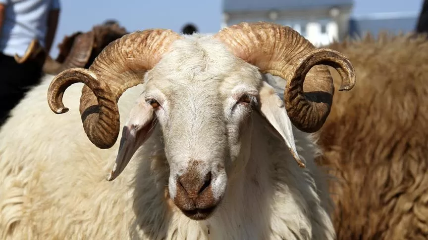 مدار الساعة,أخبار اقتصادية,وزارة الصناعة والتجارة,وزارة الصناعة