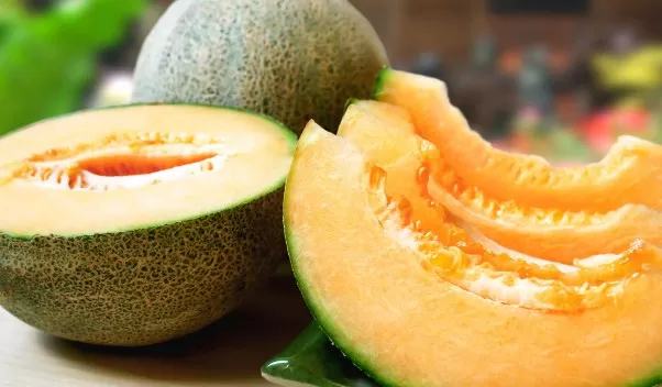 مدار الساعة,أخبار الأردن,اخبار الاردن,وزارة الزراعة,وسائل التواصل الاجتماعي