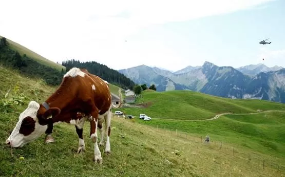 مدار الساعة,أخبار خفيفة ومنوعة