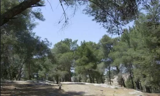مدار الساعة,أخبار الأردن,اخبار الاردن,وزير الزراعة,وزارة الزراعة