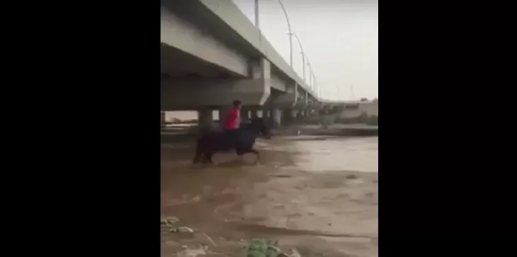 مدار الساعة,أخبار خفيفة ومنوعة,المملكة العربية السعودية,مواقع التواصل الاجتماعي