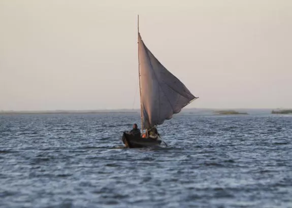مدار الساعة,أخبار خفيفة ومنوعة,الدفاع المدني