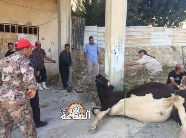 مدار الساعة,Video,فيديو,أخبار المجتمع الأردني