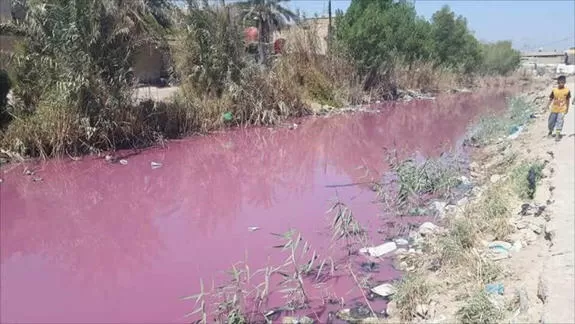 مدار الساعة,Video,فيديو,أخبار خفيفة ومنوعة,رئيس الوزراء,رئاسة الوزراء,وزارة الزراعة,درجات الحرارة,مواقع التواصل الاجتماعي