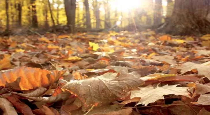 مدار الساعة,أخبار خفيفة ومنوعة