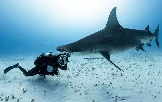 مدار الساعة,Video,فيديو,أخبار خفيفة ومنوعة