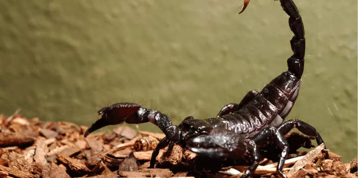 مدار الساعة,أخبار خفيفة ومنوعة