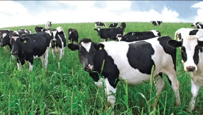 مدار الساعة,أخبار اقتصادية,وزير الزراعة,خالد حنيفات,وزارة الزراعة,المؤسسة العامة للغذاء والدواء