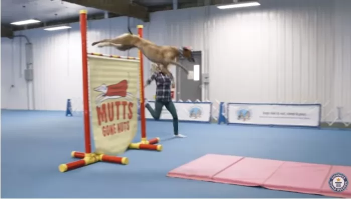 مدار الساعة,Video,فيديو,أخبار خفيفة ومنوعة