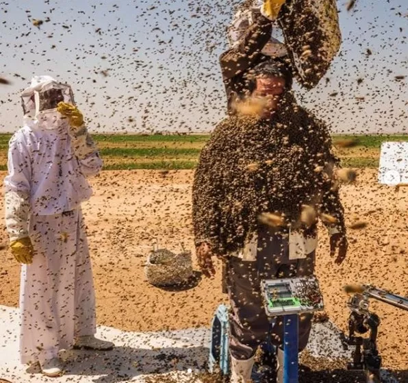 مدار الساعة,أخبار خفيفة ومنوعة