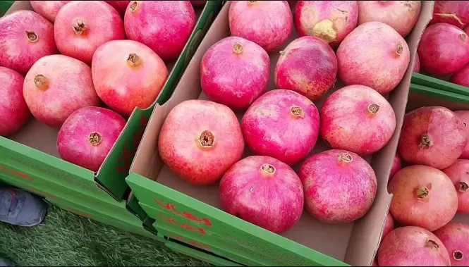 مدار الساعة,أخبار الأردن,اخبار الاردن
