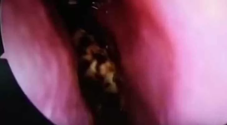 مدار الساعة,Video,فيديو,أخبار خفيفة ومنوعة