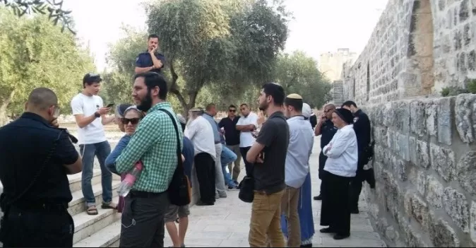 مدار الساعة,أخبار عربية ودولية,المسجد الأقصى