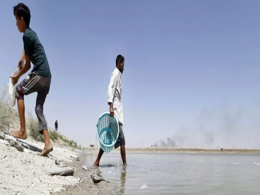 مدار الساعة,أخبار عربية ودولية,منظمة الصحة العالمية,الضفة الغربية