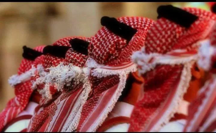 مدار الساعة,مقالات