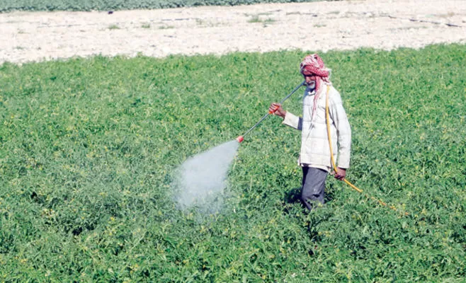 مدار الساعة,أخبار الأردن,اخبار الاردن,المركز الوطني للبحوث الزراعية,وزارة الزراعة,درجات الحرارة