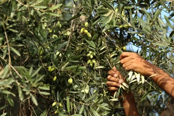 مدار الساعة,أخبار الأردن,اخبار الاردن,درجات الحرارة