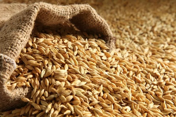 مدار الساعة,أخبار الأردن,اخبار الاردن,وزير الصناعة والتجارة والتموين,ديوان المحاسبة