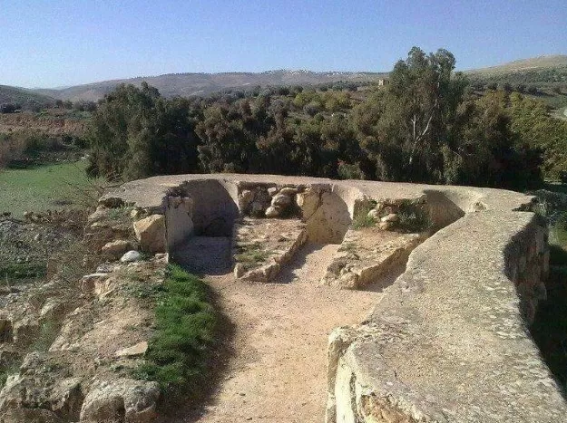 مدار الساعة,مقالات