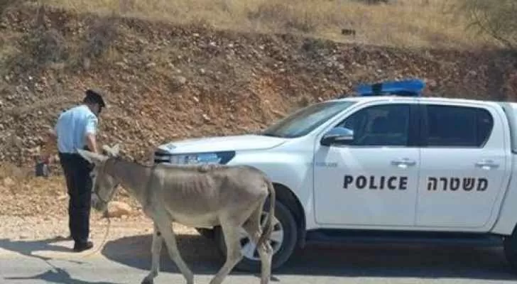 مدار الساعة,Video,فيديو,أخبار خفيفة ومنوعة,الضفة الغربية,مواقع التواصل الاجتماعي