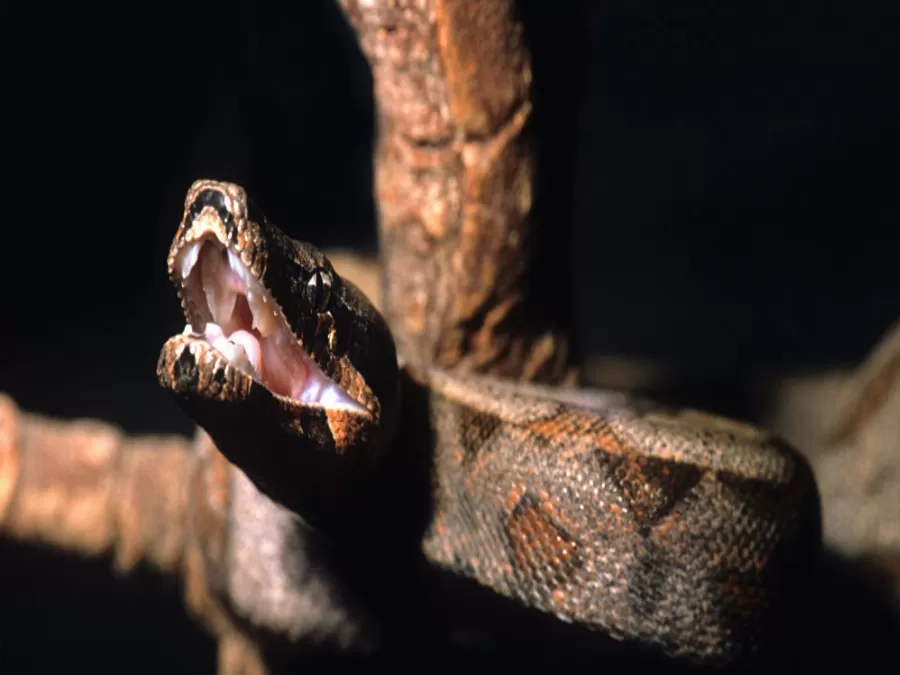 مدار الساعة,Video,فيديو,أخبار خفيفة ومنوعة