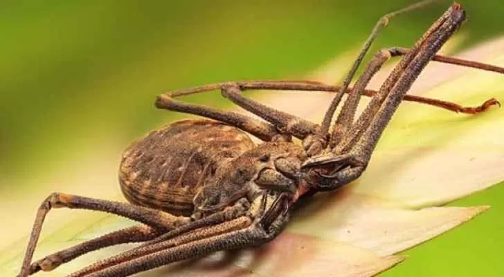 مدار الساعة,أخبار خفيفة ومنوعة