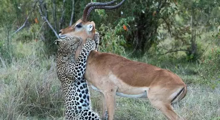 مدار الساعة,أخبار خفيفة ومنوعة