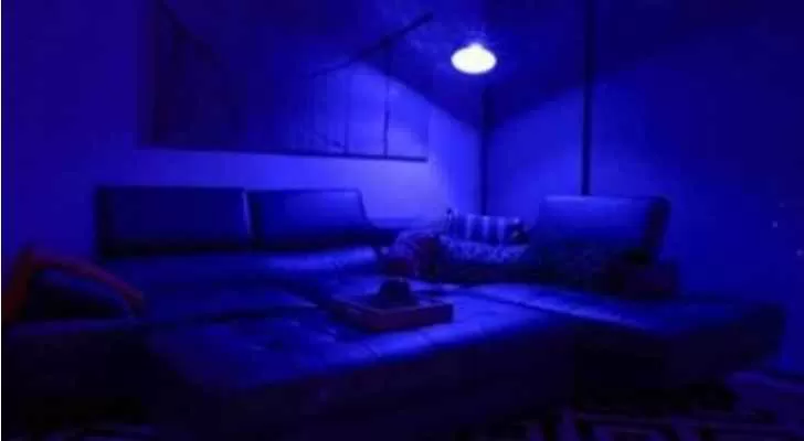 مدار الساعة,أخبار خفيفة ومنوعة