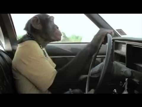 مدار الساعة,أخبار خفيفة ومنوعة,هيئة النقل البري,وسائل التواصل الاجتماعي