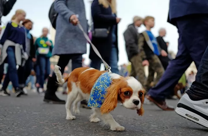 مدار الساعة,أخبار خفيفة ومنوعة,الاتحاد الأوروبي