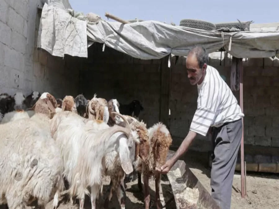 مدار الساعة,أخبار اقتصادية,الأمم المتحدة,الرئيس بشار الأسد