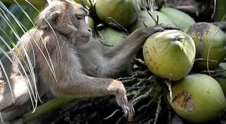 مدار الساعة,أخبار خفيفة ومنوعة