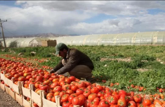 مدار الساعة,أخبار الأردن,اخبار الاردن,وزارة الطاقة والثروة المعدنية,وزارة الطاقة
