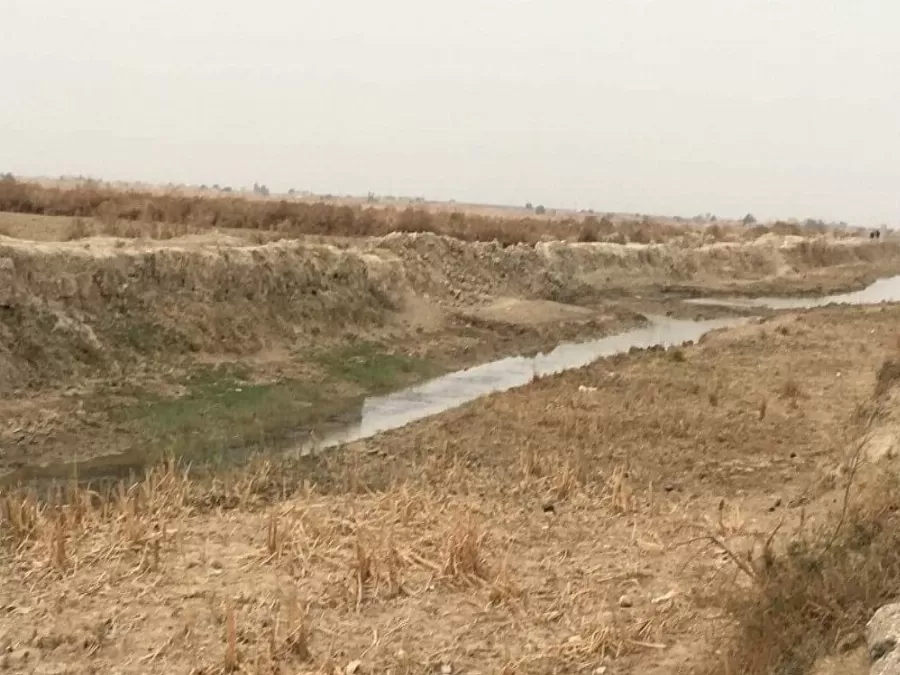 مدار الساعة,أخبار عربية ودولية,وزير الزراعة,وزارة الزراعة